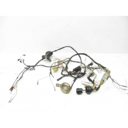 FEU AR - PEUGEOT TREKKER