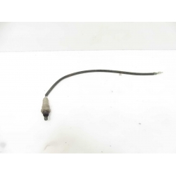 SONDE- PEUGEOT KISBEE NACKED