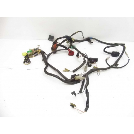 FAISCEAU -  SUZUKI GSE 500