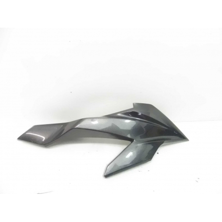 CARENAGE- KAWASAKI Z1000SX