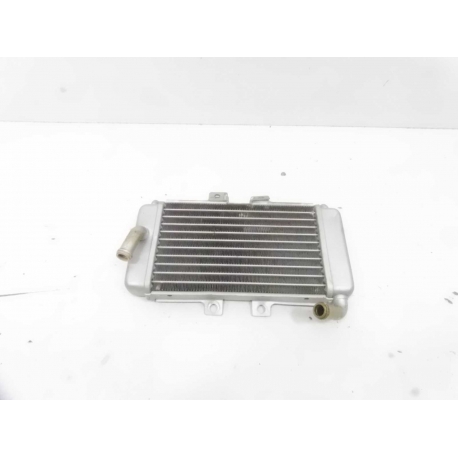 OPTIQUE - PIAGGIO NRG MC3