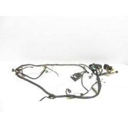 CARENAGE - SUZUKI 400 BURGMAN