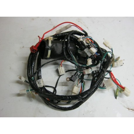 FASCEAU ELECTRIQUE - LINHAI STREETSTAR 50