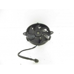 MOTEUR - GENERIC TIGER 50