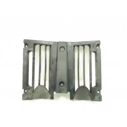 CARENAGE  - GENERIC TIGER 50