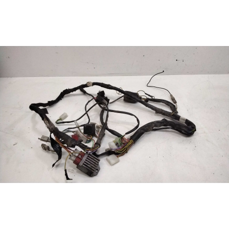 FAISCEAU - DERBI X-TREME