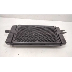 RADIATEUR - TRIUMPH STREET TWIN 900