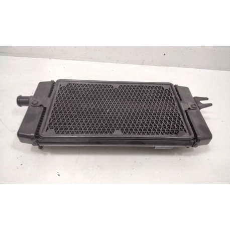 RADIATEUR - TRIUMPH STREET TWIN 900