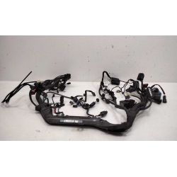 FAISCEAU - TRIUMPH STREET TWIN 900