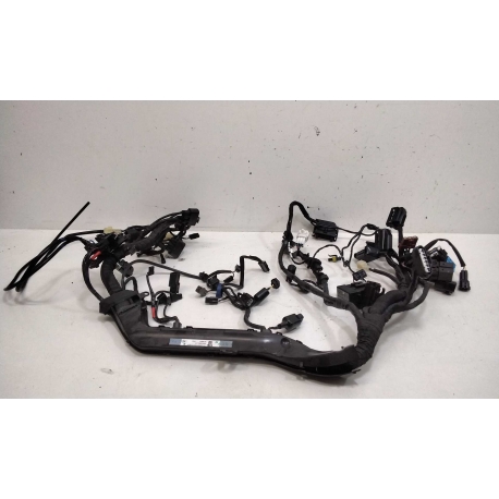 FAISCEAU - TRIUMPH STREET TWIN 900