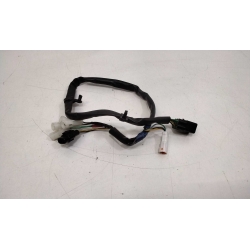 FAISCEAU - TRIUMPH STREET TWIN 900