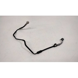 DURITTE - TRIUMPH STREET TWIN 900