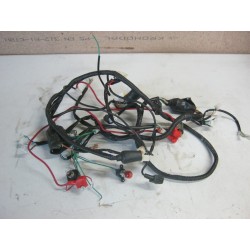 FAISCEAU ELECTRIQUE - CKA MOTOR