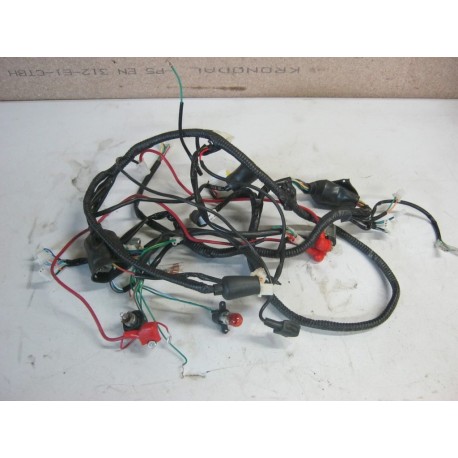 FAISCEAU ELECTRIQUE - CKA MOTOR