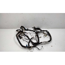 FAISCEAU - YAMAHA MAJESTY