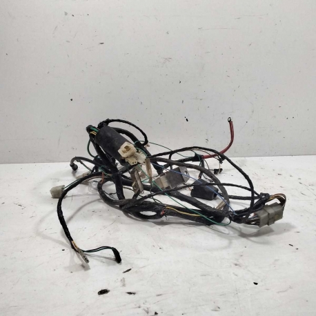 FAISCEAU   - PEUGEOT ZENITH