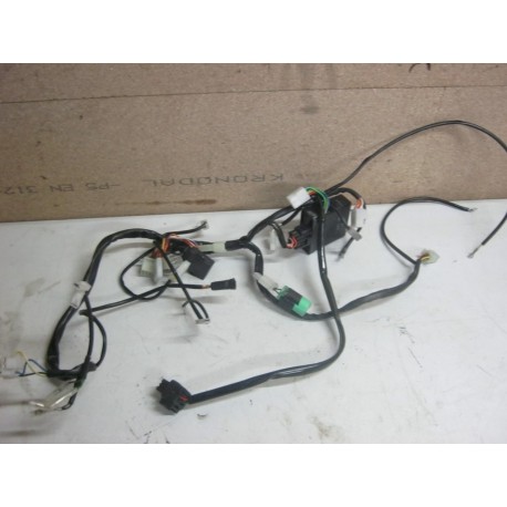 FAISCEAU ELECTRIQUE - RIEJU MRT