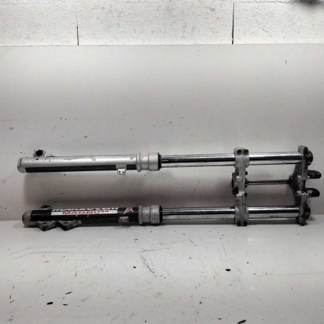 FOURCHE  - GAS GAS ROOKIE