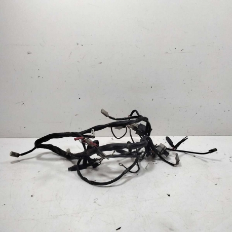 FAISCEAU    - GAS GAS ROOKIE