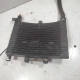 RADIATEUR    - MALAGUTI F15