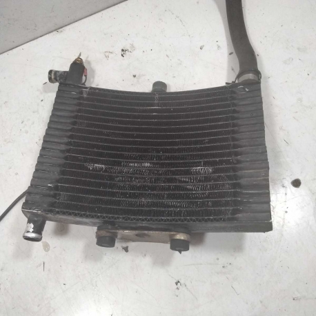 RADIATEUR    - MALAGUTI F15