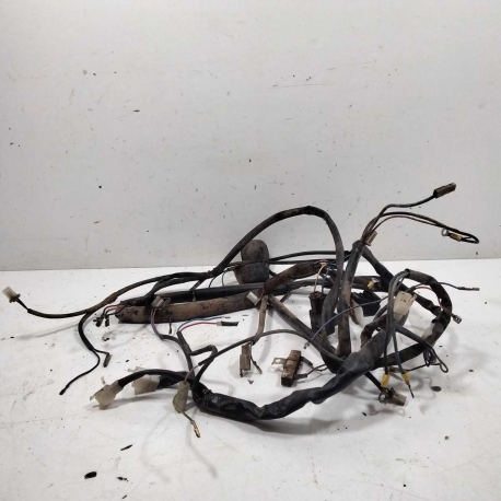 FAISCEAU   - MALAGUTI F15