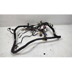 FAISCEAU  -  SUZUKI GSE 500