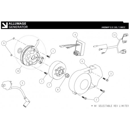 ALLUMAGE Daytona Anima 150cc 190cc