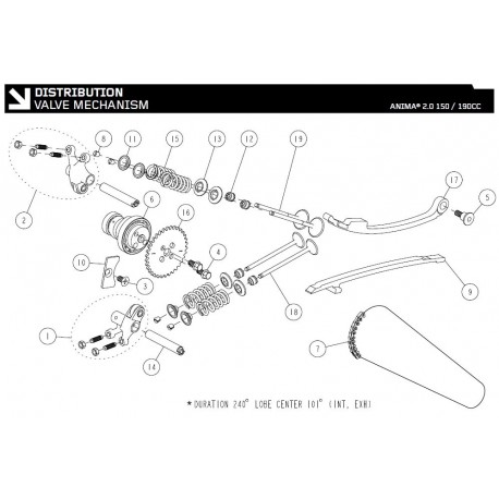 DISTRIBUTION Daytona Anima 150cc 190cc