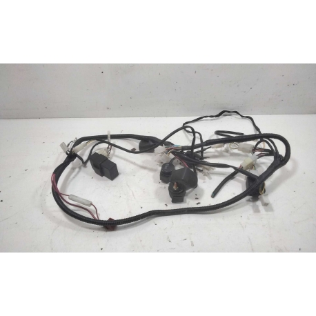 FAISCEAU - LONGJIA DIGITA 4T 50