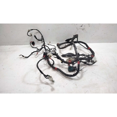 FAISCEAU - PIAGGIO TYPHOON