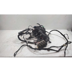 FAISCEAU - GILERA GP 800