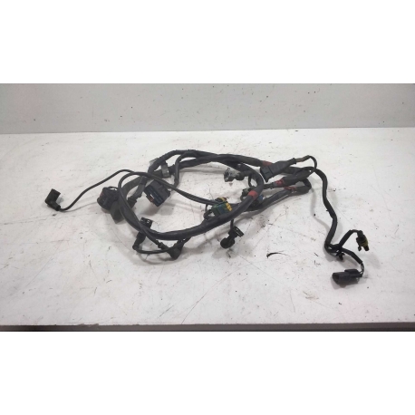 FAISCEAU - GILERA GP 800