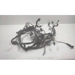 FAISCEAU  - DUCATI S2R 1000 MONSTER