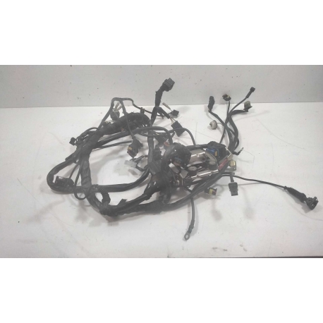 FAISCEAU  - DUCATI S2R 1000 MONSTER