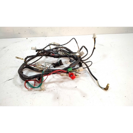 FAISCEAU - PEUGEOT KISBEE 4T