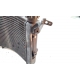 RADIATEUR - TRIUMPH STREET TRIPLE 675