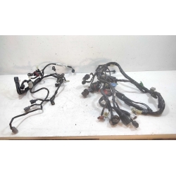 FAISCEAU - HONDA HORNET 2009