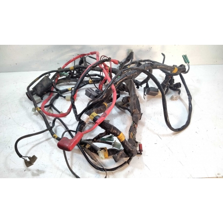 FAISCEAU - QUADRO QV3