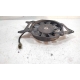 VENTILATEUR - QUADRO QV3