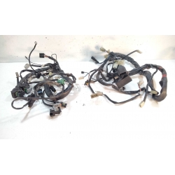 FAISCEAU - APRILIA FUTURA 1000