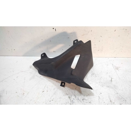 CARENAGE - APRILIA FUTURA 1000