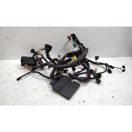 COURONNE - SUZUKI SVS 650