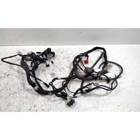 FAISCEAU - GILERA SMT SUPERMOTARD 50