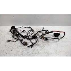 FAISCEAU - PEUGEOT LUDIX