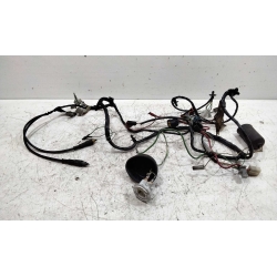 FAISCEAU - PEUGEOT LUDIX