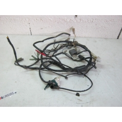 FAISCEAU ELECTRIQUE - BETA 50 2008