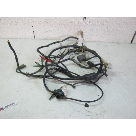 FAISCEAU ELECTRIQUE - BETA 50 2008