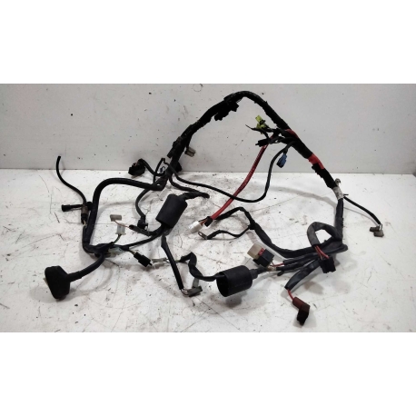 FAISCEAU - YAMAHA TZR 50