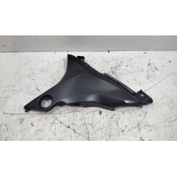 CARENAGE - KAWASAKI Z800